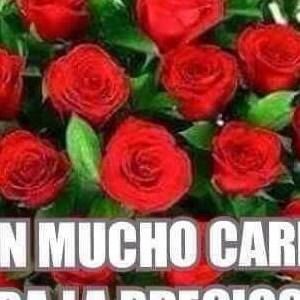 Meet your Posher, Lupe